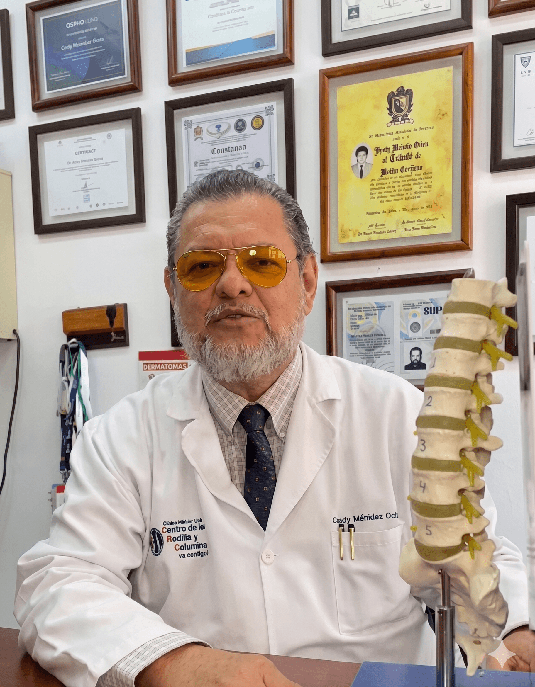 Huesos y Articulaciones