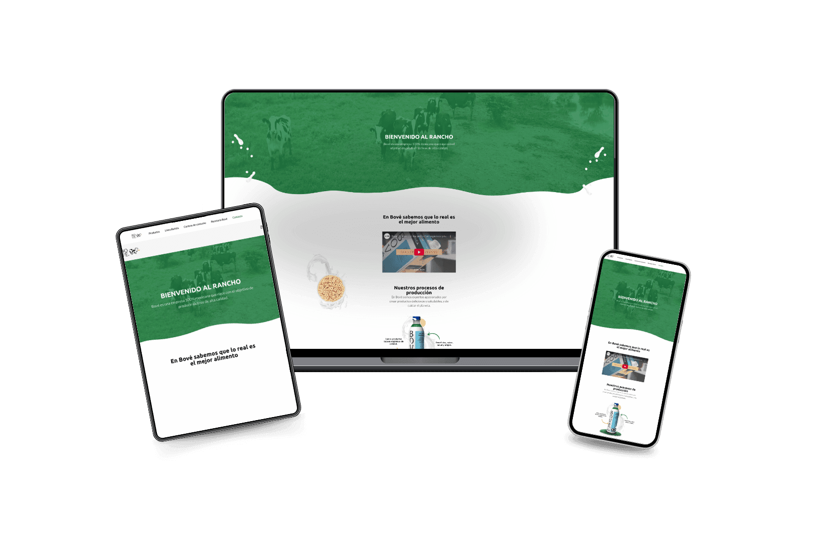 Desarrollo Integral del Sitio Web para Bove.com.mx