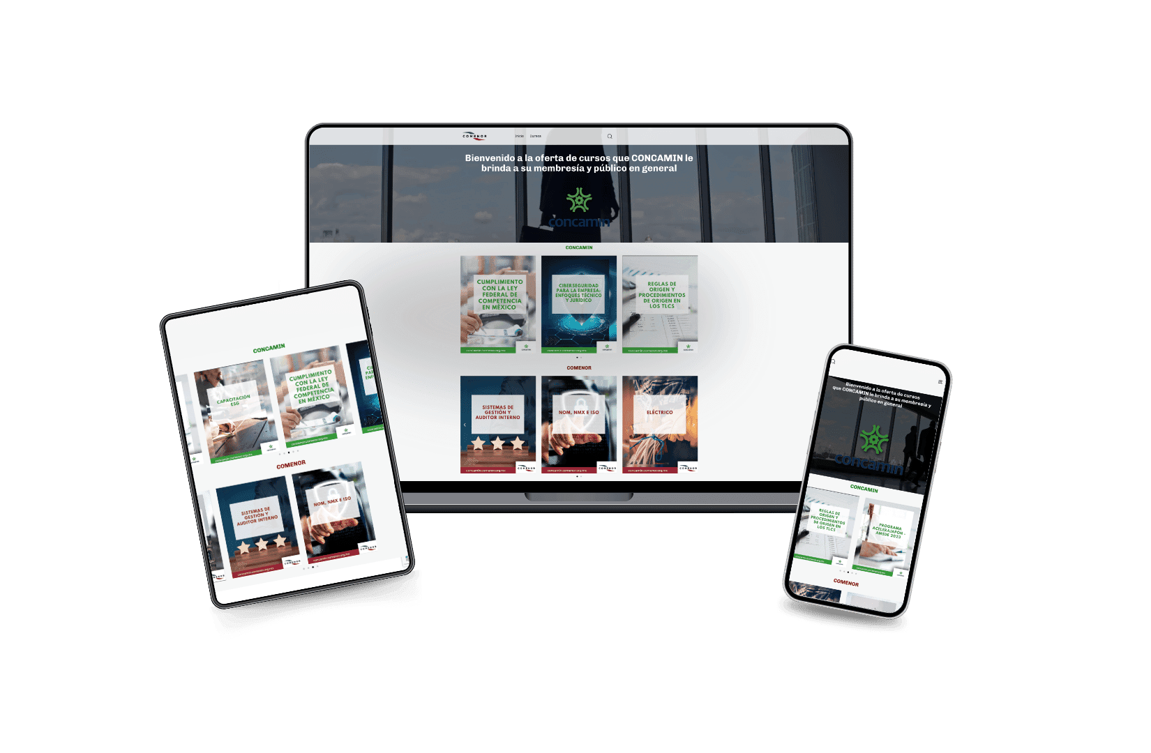 Desarrollo del Sitio Web para CONCAMIN