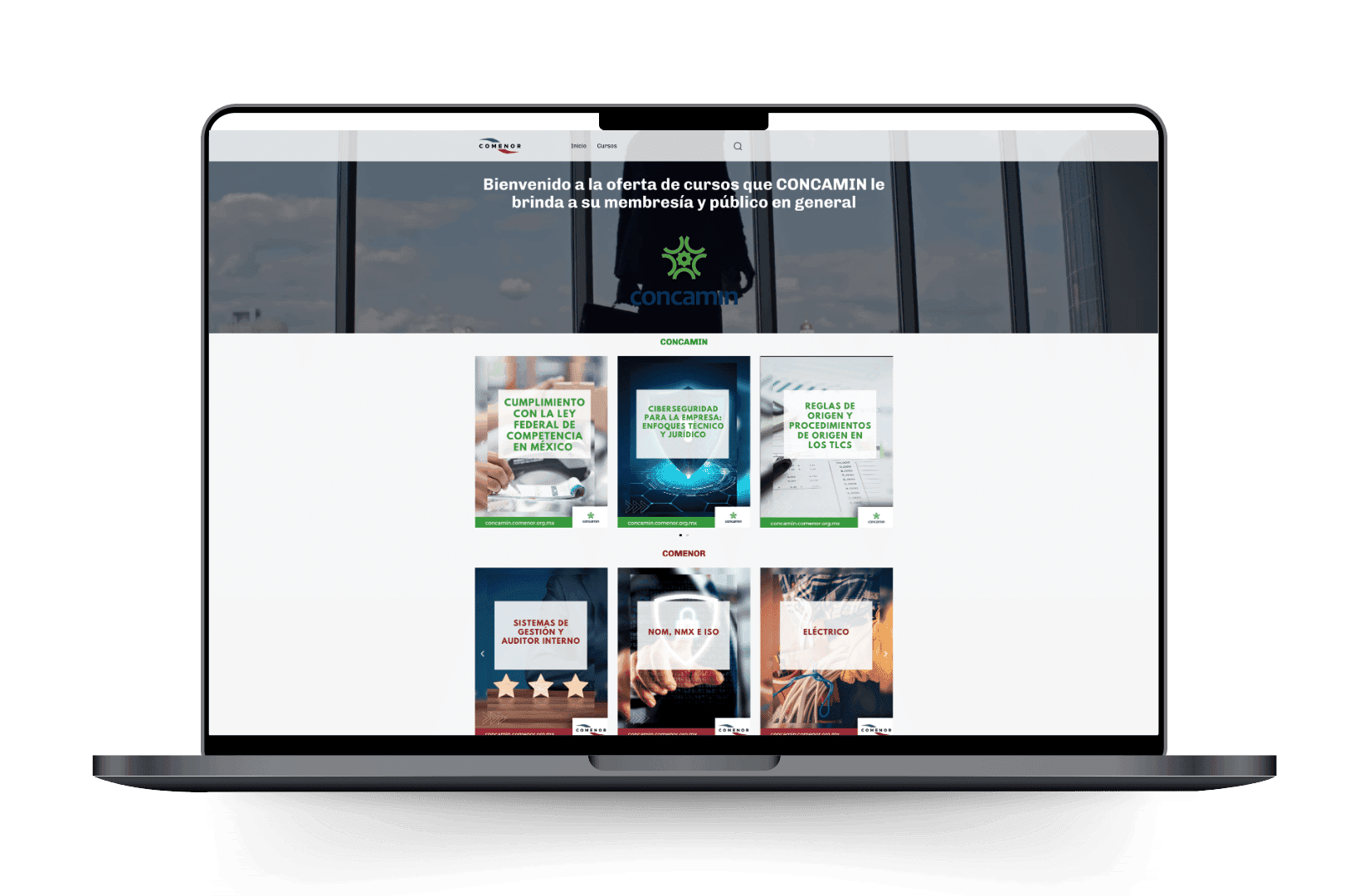 Mockup del sitio de CONCAMIN