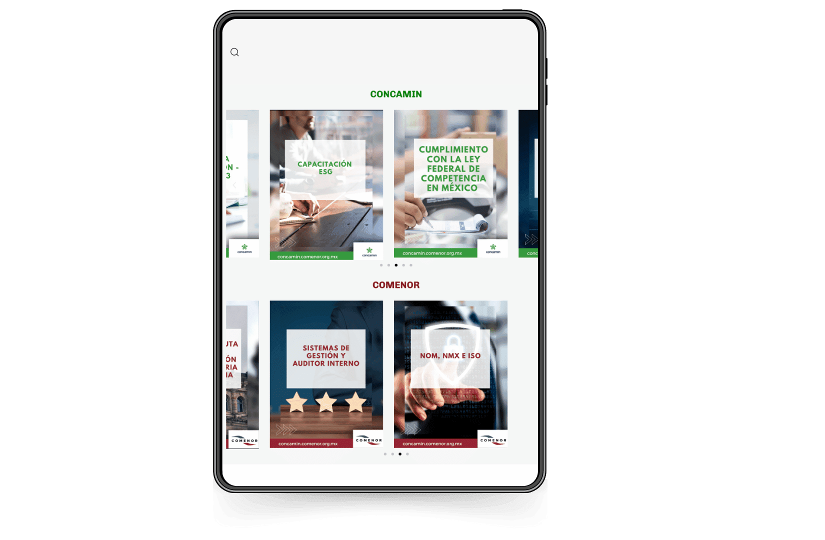 Mockup del sitio de CONCAMIN