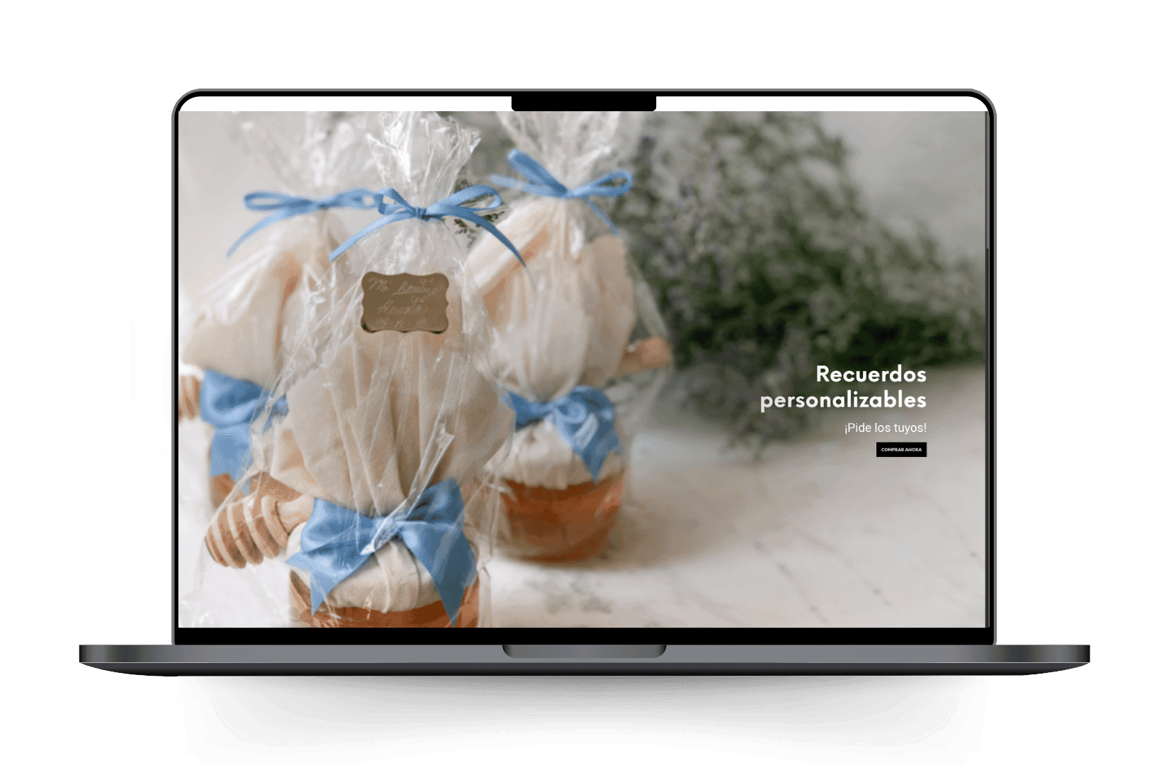 Mockup del sitio de Cucubecerra