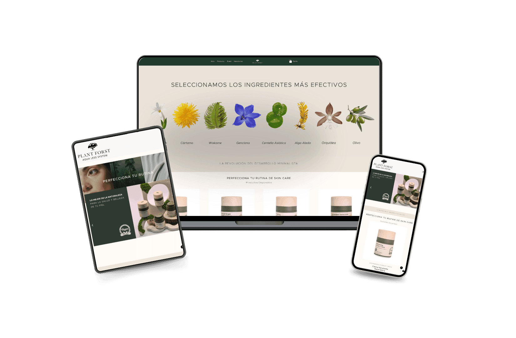 Diseño y Desarrollo Web para Plantforst