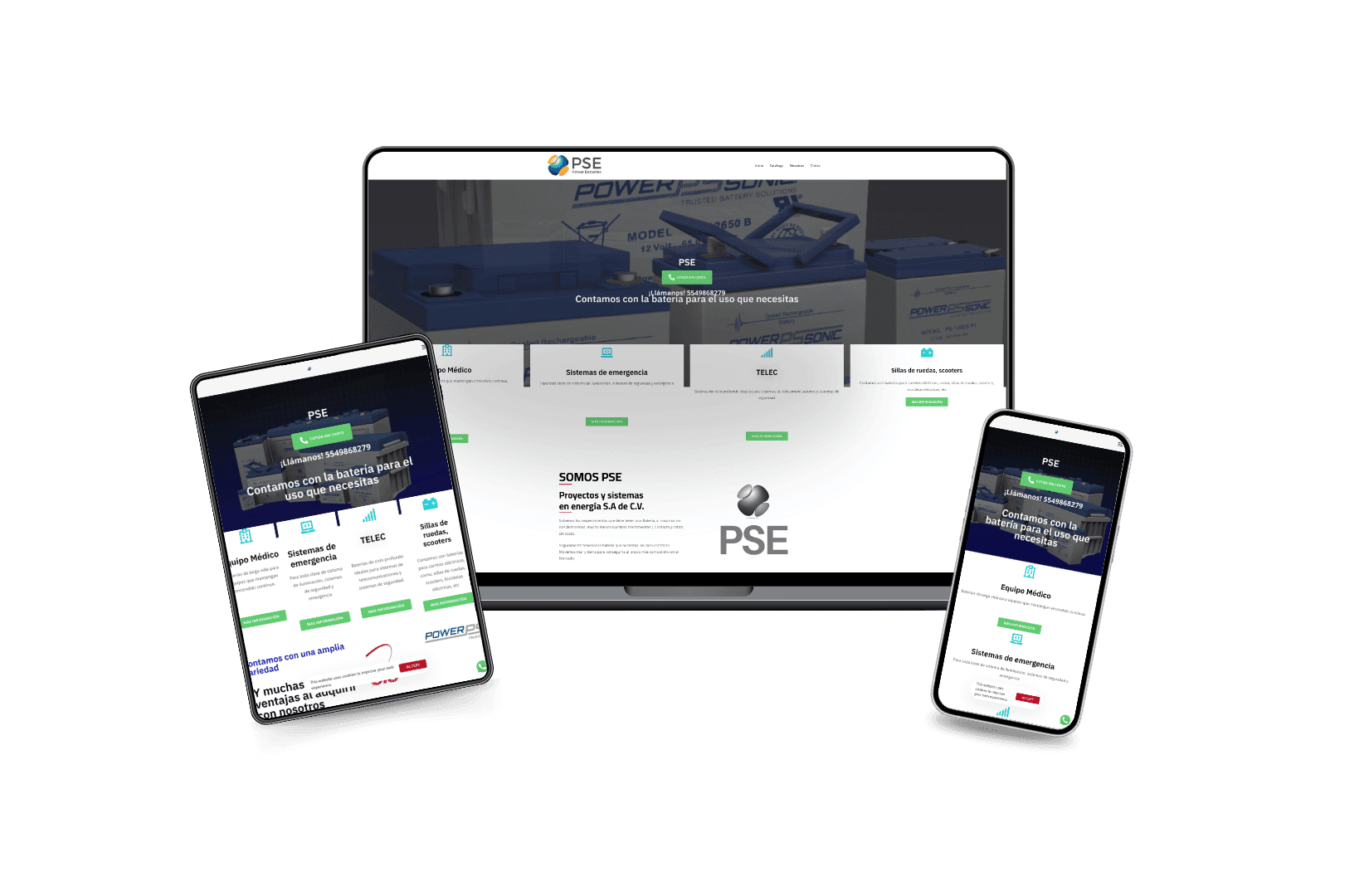 Desarrollo del sitio web para PSE Power Batteries