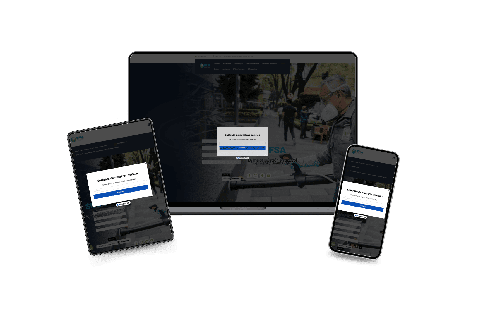 Desarrollo Web para SIFSA