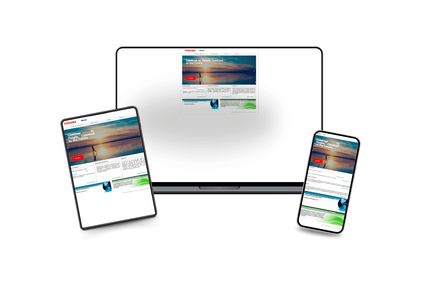 Desarrollo Web para Toshiba México
