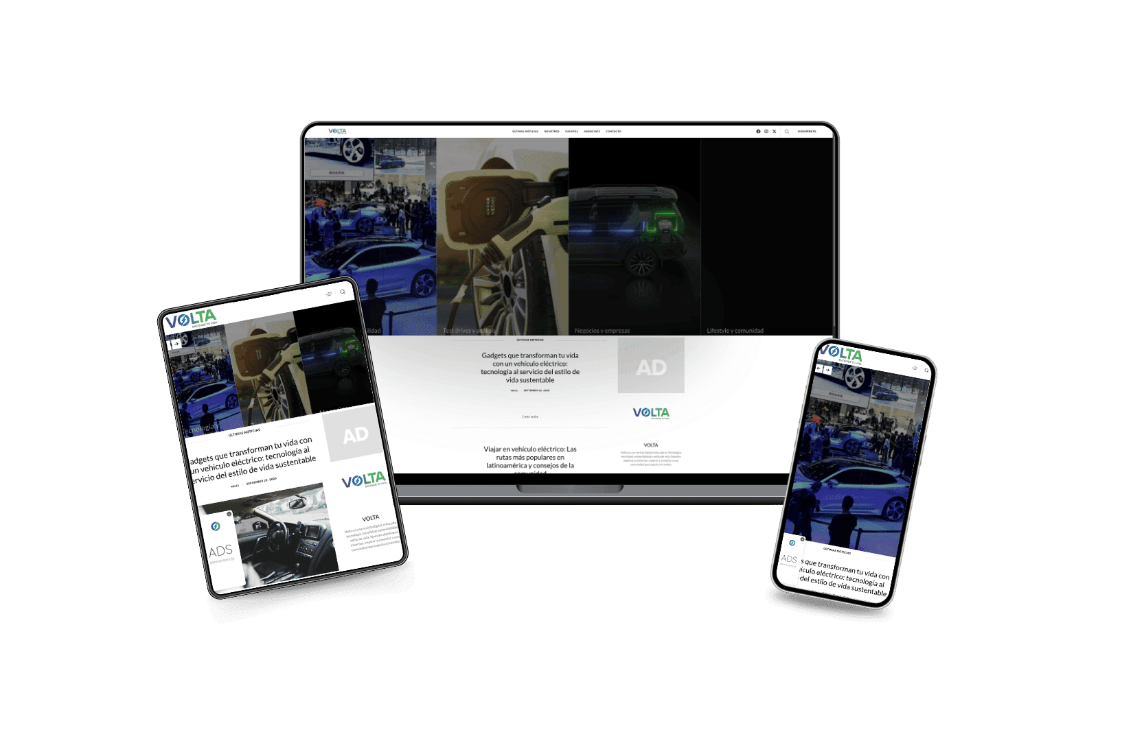 Desarrollo del sitio web para Voltagroup
