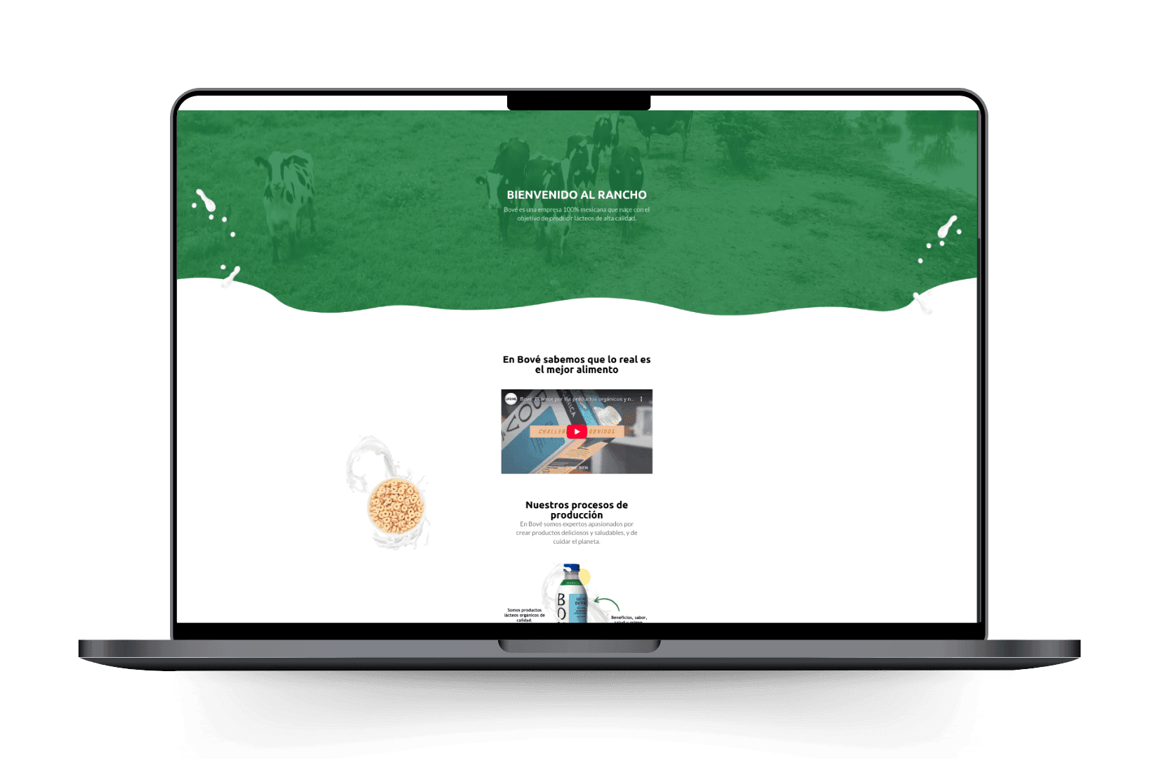 Mockup del sitio de Bove.com.mx