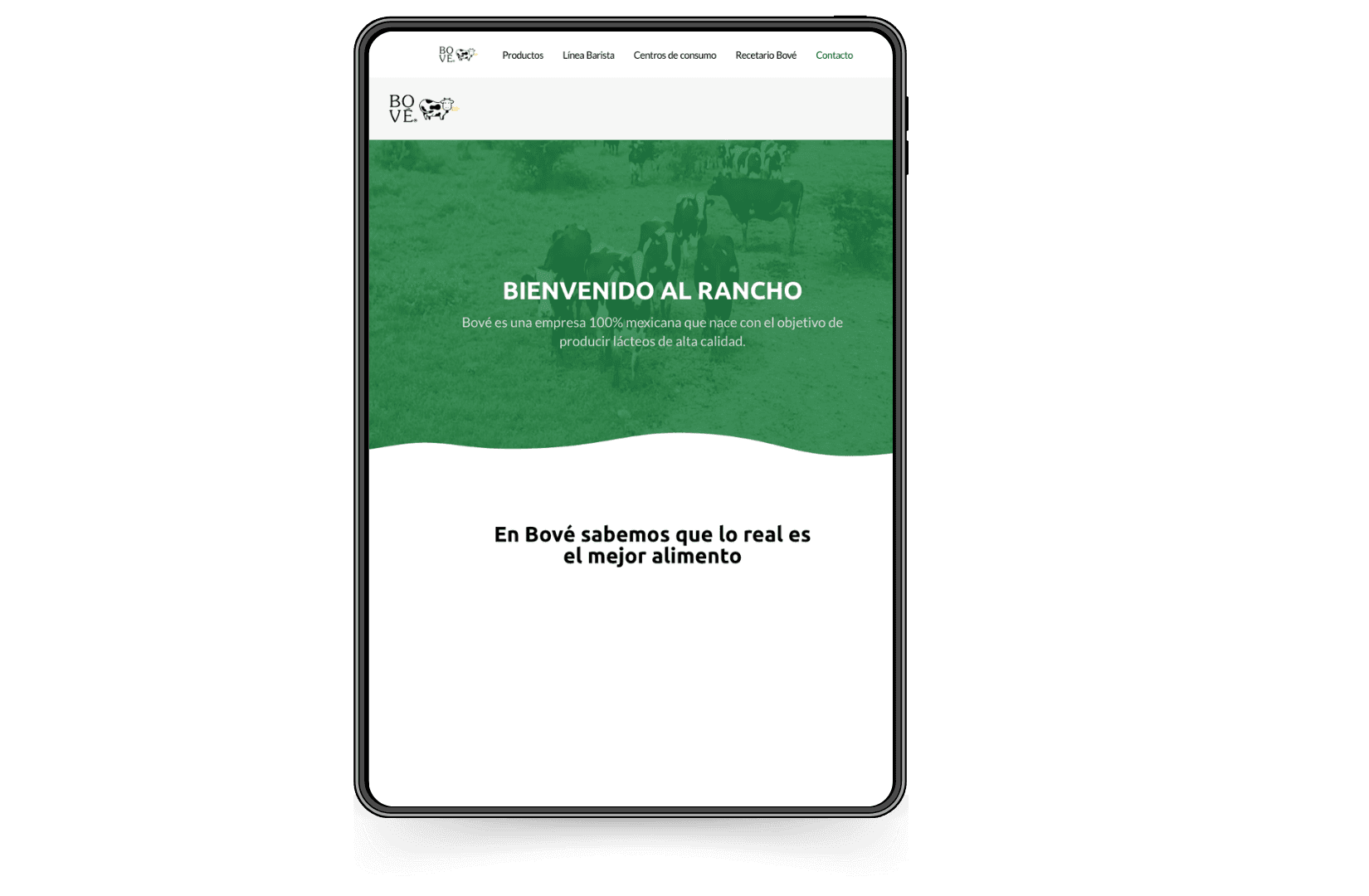 Mockup del sitio de Bove.com.mx