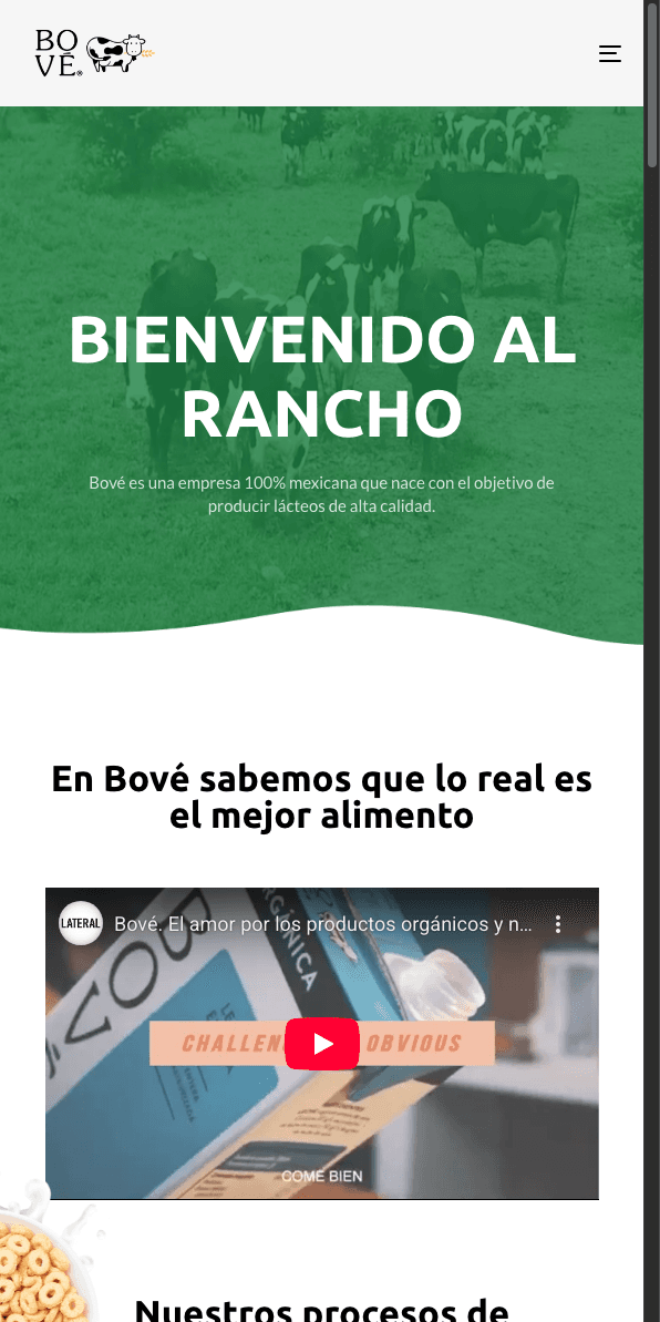 Sitio web de Bove.com.mx en celular