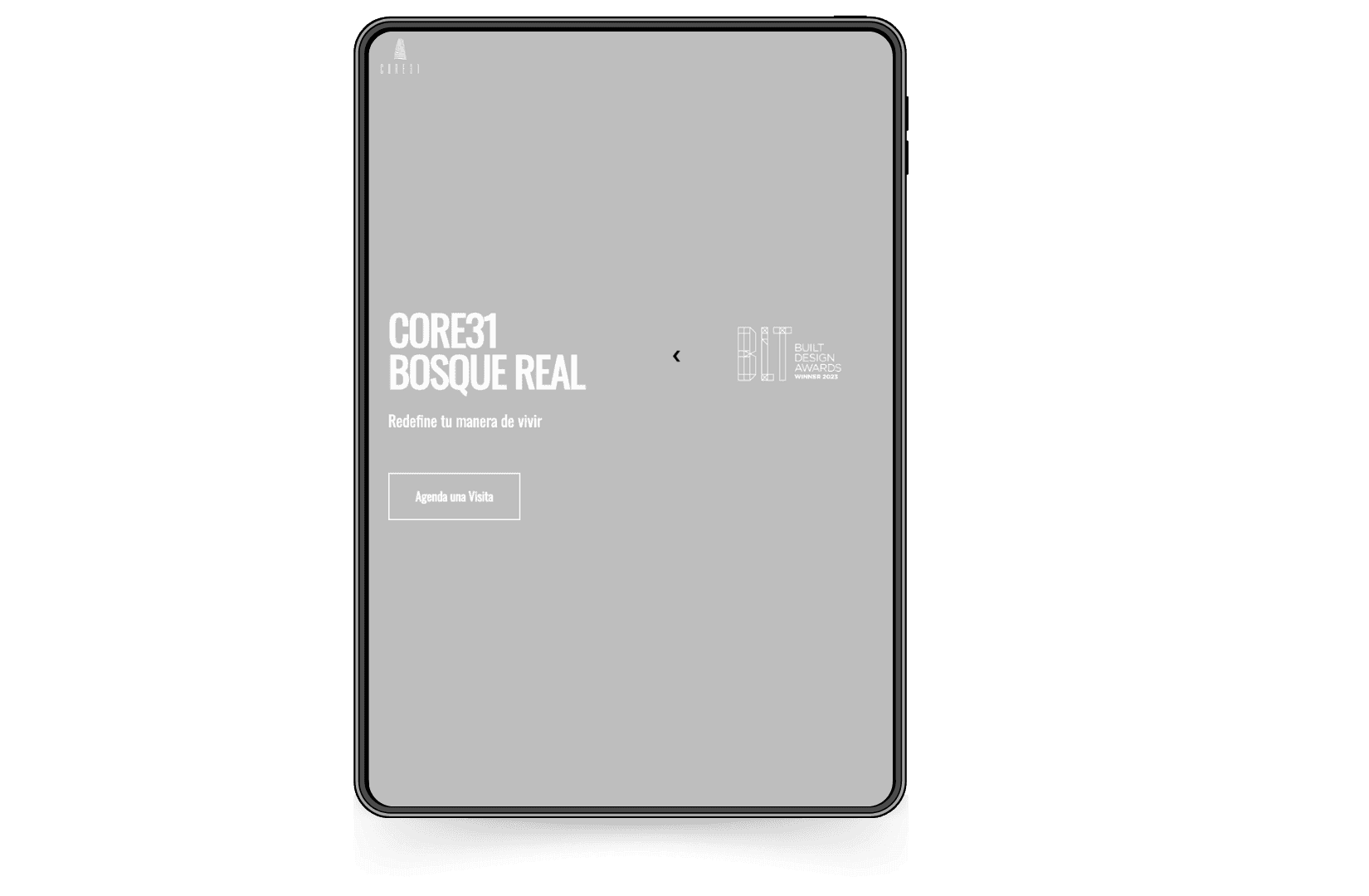 Mockup del sitio de Core31