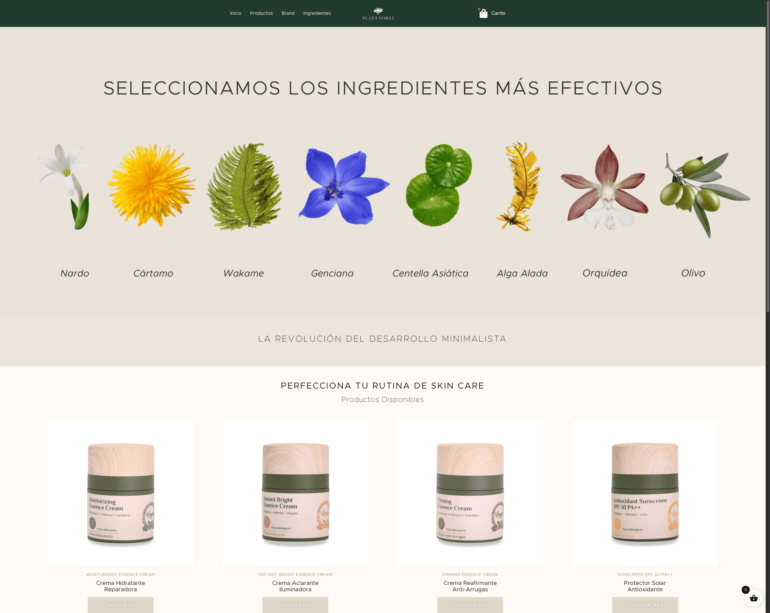 Página de inicio de Plantforst.com