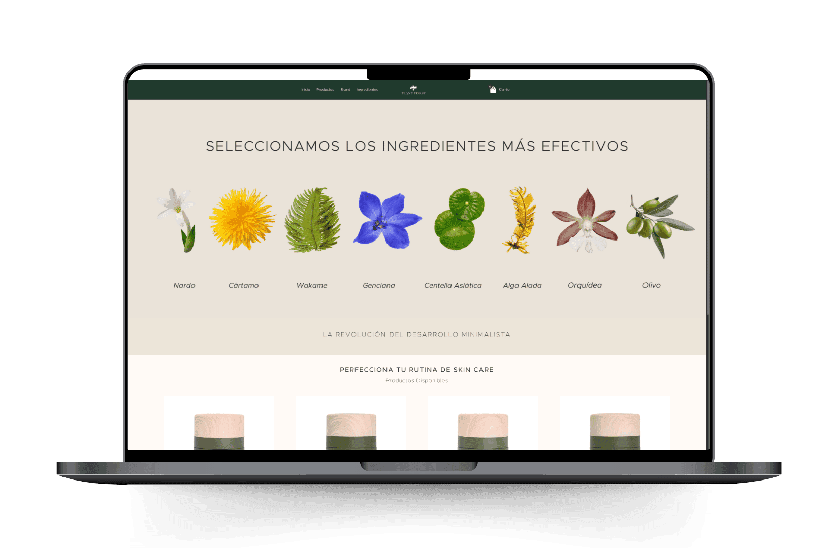 Mockup del sitio de Plantforst.com