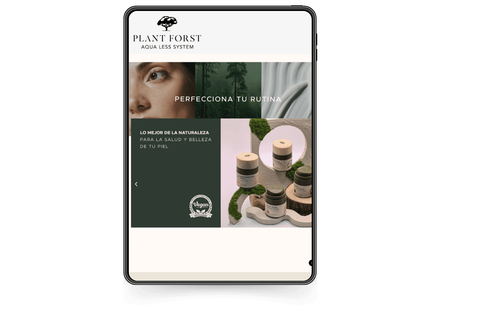 Mockup del sitio de Plantforst.com