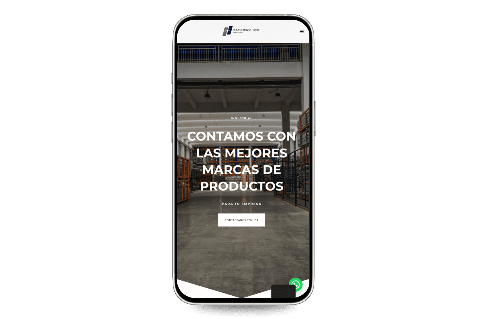 Mockup del sitio de Suministros Hebe
